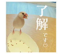 727098948