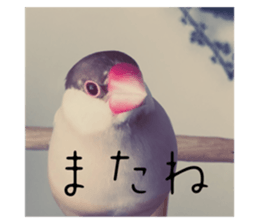 727098954