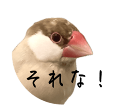 727098959