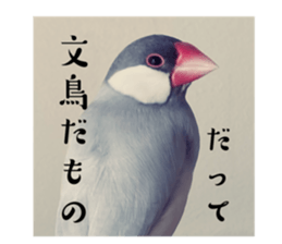 727098974