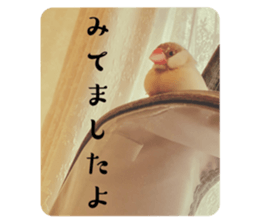 727098979