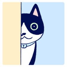 727100160