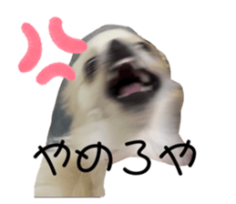 727106406
