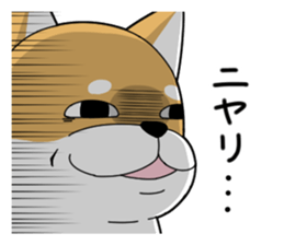 7271067