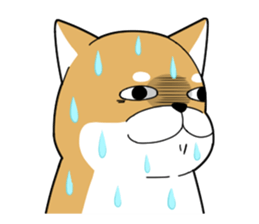 7271073