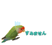727116116