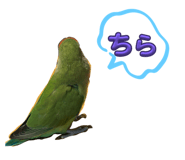 727116122