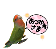 727116128