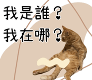 727201350