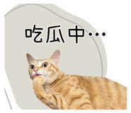 727201354