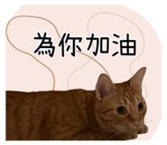 727201365