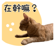 727201373