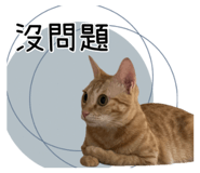 727201379