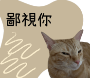 727201380