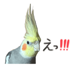 727201830