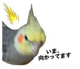 727201833