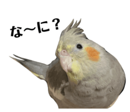 727201835