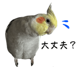 727201842