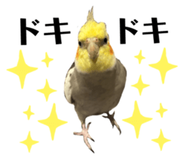 727201843