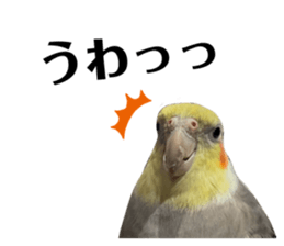 727201845