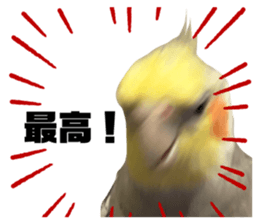 727201848