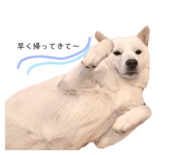 727218699