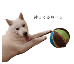 727218716