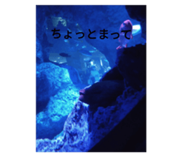 727233003