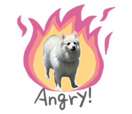 727234655