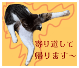 727241813