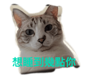 727252378