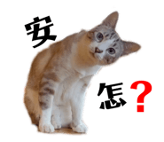 727252383