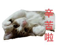 727252384