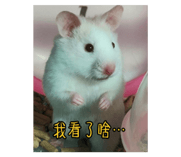 727253047