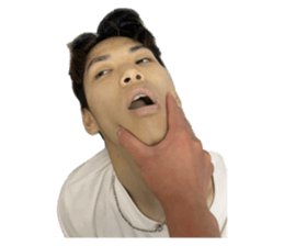 727253313