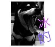 72725837