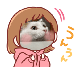 727263682
