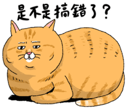 727277155