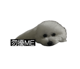727285138