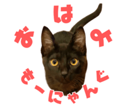 727315814