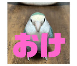 727324128