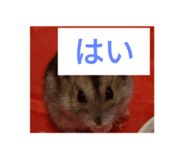 727325690