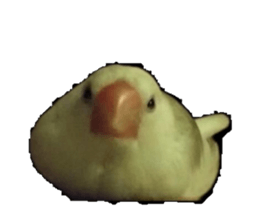 727332790