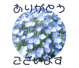 727334018
