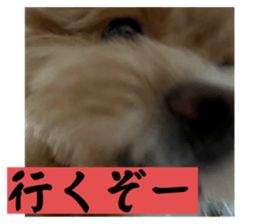 727334489