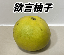 727353889