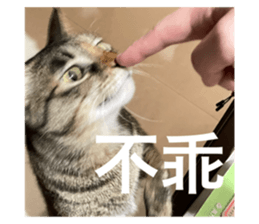 727356501