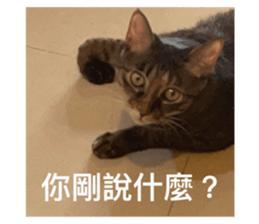 727356506