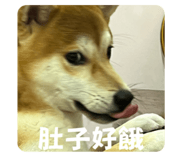 727364679