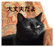 727368601